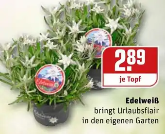 REWE Edelweiß Angebot