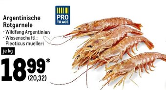 METRO Argentinische Rotgarnele Angebot