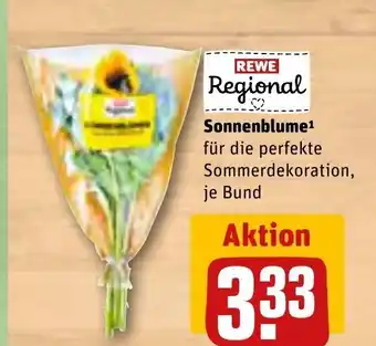 REWE Sonnenblume Angebot