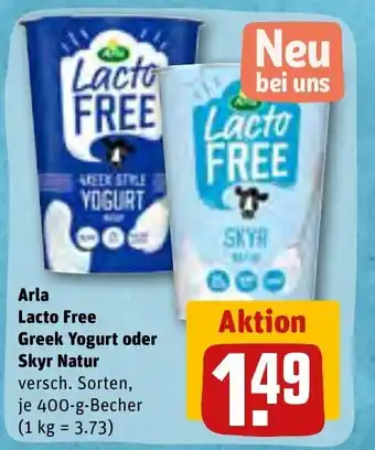 REWE Arla Lacto Free Greek Yogurt o. Skyr Natur 400g Angebot