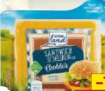 Netto Marken-Discount Sandwich Scheiben Cheddar Angebot