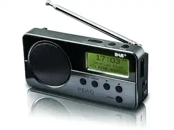 Saturn Peaq pdr050-b-1 dab+ radio portable, dab+, fm, schwarz/metal Angebot