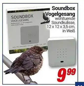 CENTERSHOP Soundbox vogelgesang Angebot