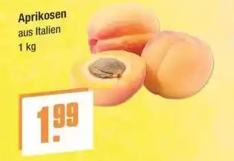 V Markt Aprikosen Angebot