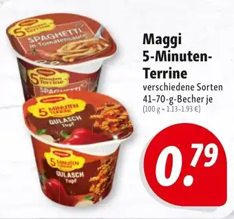 Nah & Frisch Maggi 5 Minuten Terrine 41-70g Becher Angebot