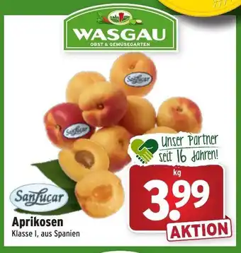 Wasgau SanLucar Aprikosen Angebot