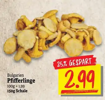 NP Discount Bulgarien Pfifferlinge 150g Angebot