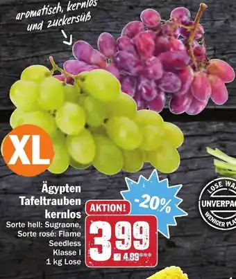 AEZ Ägypten Tafeltrauben kernlos 1kg Angebot