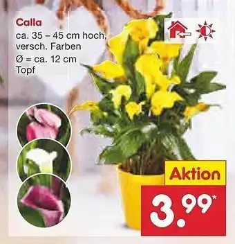 Netto Marken-Discount Calla Angebot