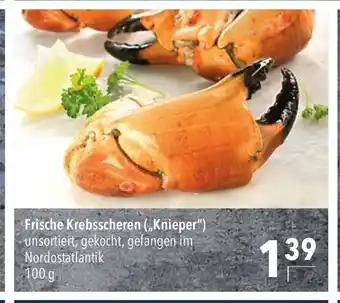 CITTI Markt Krebsscheren Knieper 100g Angebot