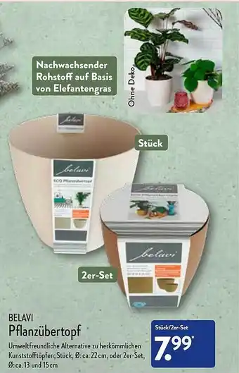 Aldi Nord Belavi pflanzübertopf Angebot