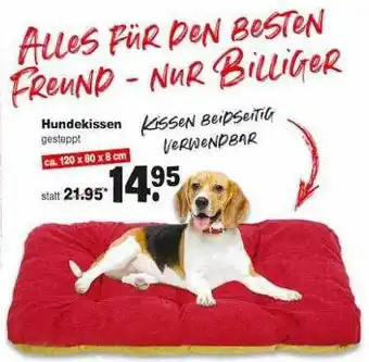 Repo Markt Hundekissen Angebot