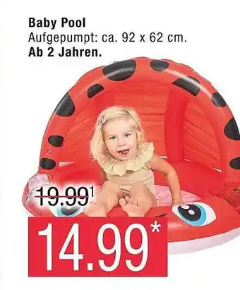 Marktkauf Baby pool Angebot