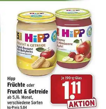 Wasgau Hipp früchte oder frucht & getreide Angebot