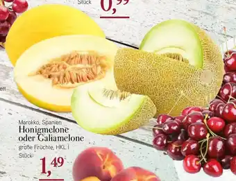 Dornseifer Honigmelonen oder Galiamelonen Angebot