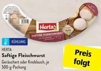 Aldi Süd Herta Saftige Fleischwurst 500 g Packung Angebot