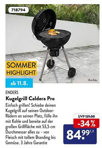 Aldi Süd Enders kugelgrill caldera pro Angebot