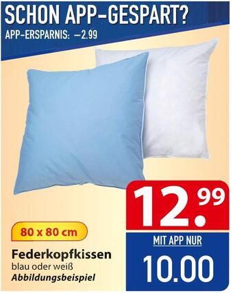 Famila Nord Ost Federkopfkissen Angebot