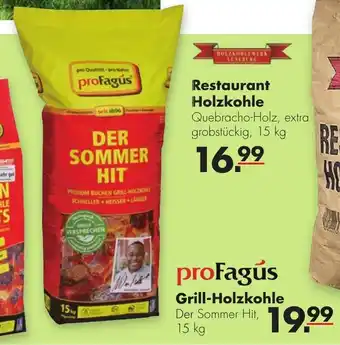 Handelshof proFagus Grill-Holzkohle Der Sommer-Hit 15kg Angebot