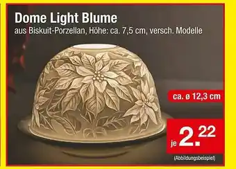 Zimmermann Dome Light Blume Angebot