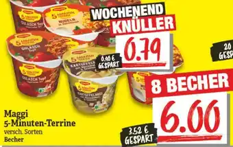 NP Discount Maggi 5 Minuten Terrine Angebot