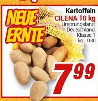 CENTERSHOP Kartoffeln cilena 10 kg Angebot