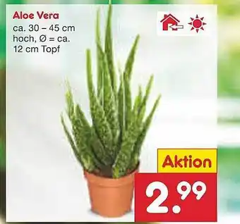 Netto Marken-Discount Aloe vera Angebot