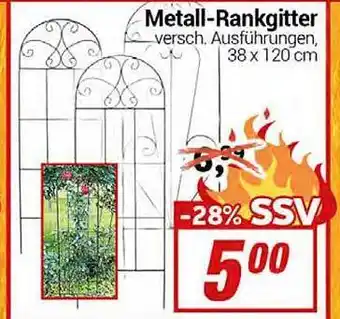 CENTERSHOP Metall-rankgitter Angebot