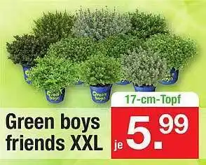 Zimmermann Green boys friends xxl Angebot