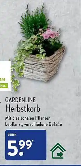 Aldi Nord Gardenline herbstkorb Angebot