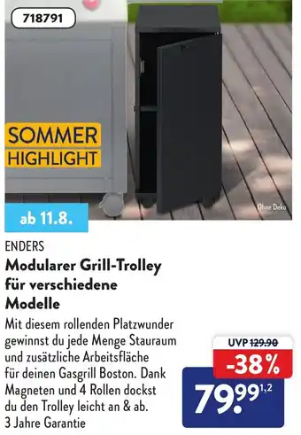 Aldi Nord Enders Modularer Grill Trolley für verschiedene Modelle Angebot