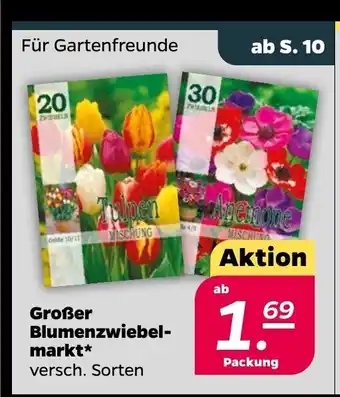 NETTO Grober Blumenzwiebelmarkt Angebot