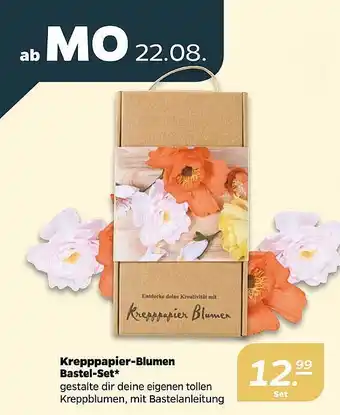 Pfennigpfeiffer Krepppapier-blumen bastel-set Angebot