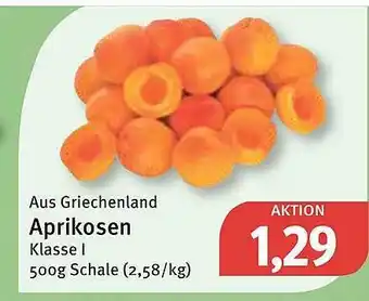 Feneberg Aprikosen Angebot