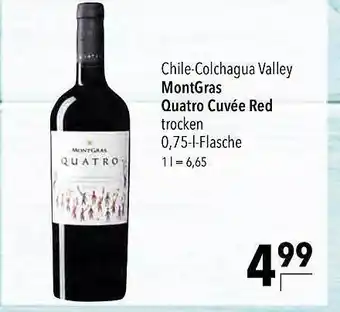 CITTI Markt Montgras quatro cuvée red Angebot