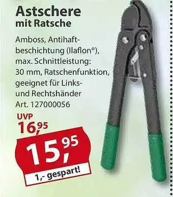 Sonderpreis Baumarkt Astschere mit ratsche Angebot