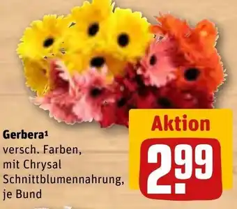REWE Gerbera Angebot