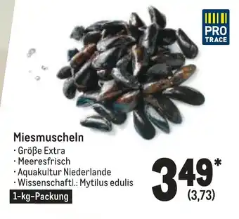 METRO Miesmuscheln 1kg Angebot