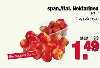 Edeka Scherer Nektarinen 1kg Angebot