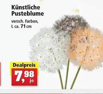 Thomas Philipps Künstliche pusteblume Angebot