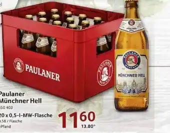 Selgros Paulaner münchner hell Angebot