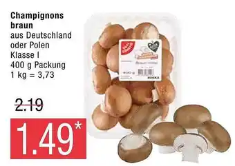 Marktkauf Champignons braun Angebot