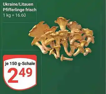 Globus Pfifferlinge frisch Angebot