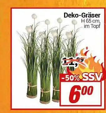 CENTERSHOP Deko-gräser Angebot