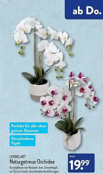 Aldi Nord Living art naturgetreue orchidee Angebot