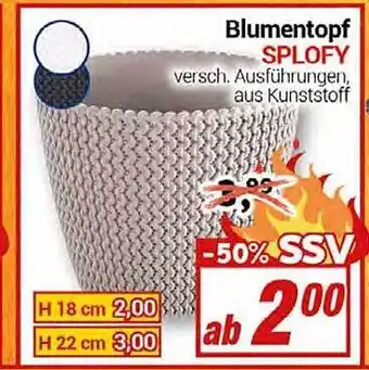 CENTERSHOP Blumentopf splofy Angebot