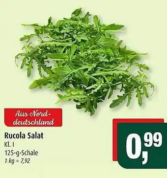 Markant Markt Ruccola salat Angebot