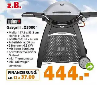 Globus Baumarkt Weber gasgrill q3000 Angebot