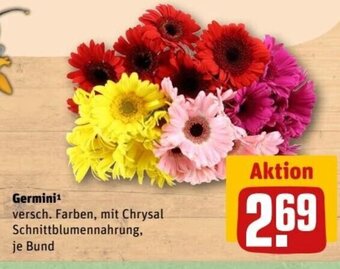 REWE Center Germini¹ Angebot