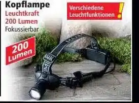 Norma Kopflampe Angebot